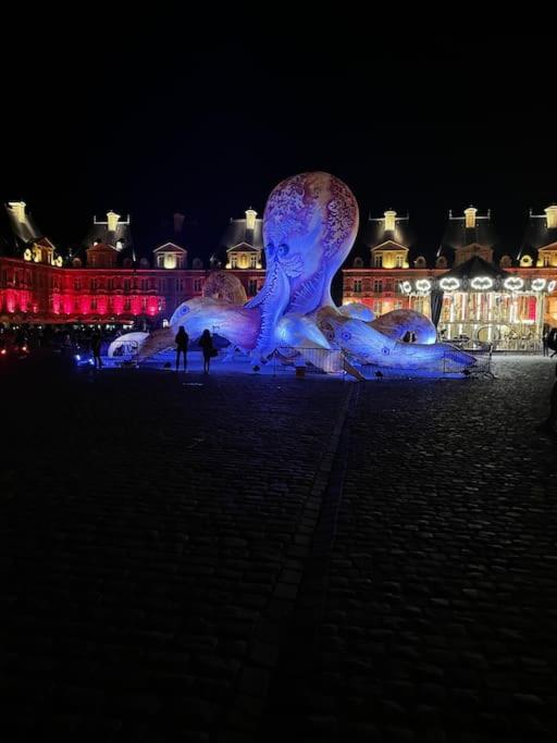 Superbe T2 A 200M De La Place Ducale Charleville-Mezieres Exterior foto
